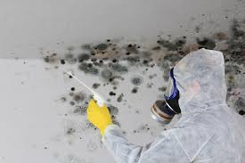 Professional Mold Removal Services in Coachella, CA